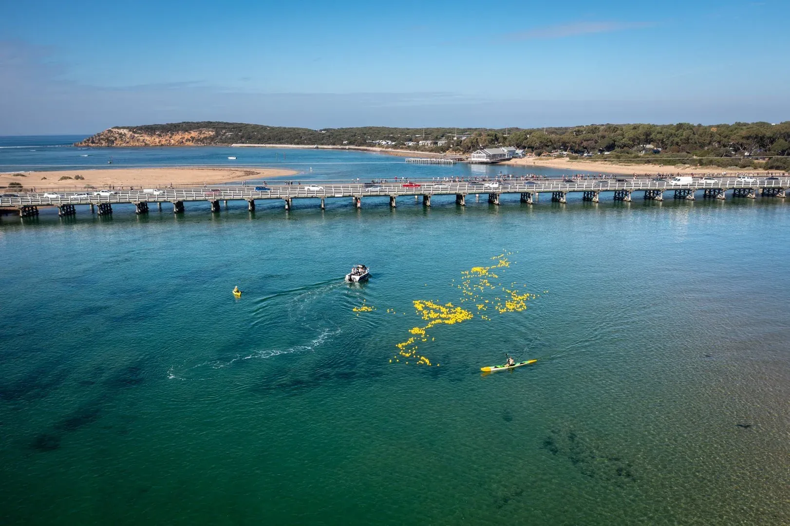 The Great Barwon River Duck Race