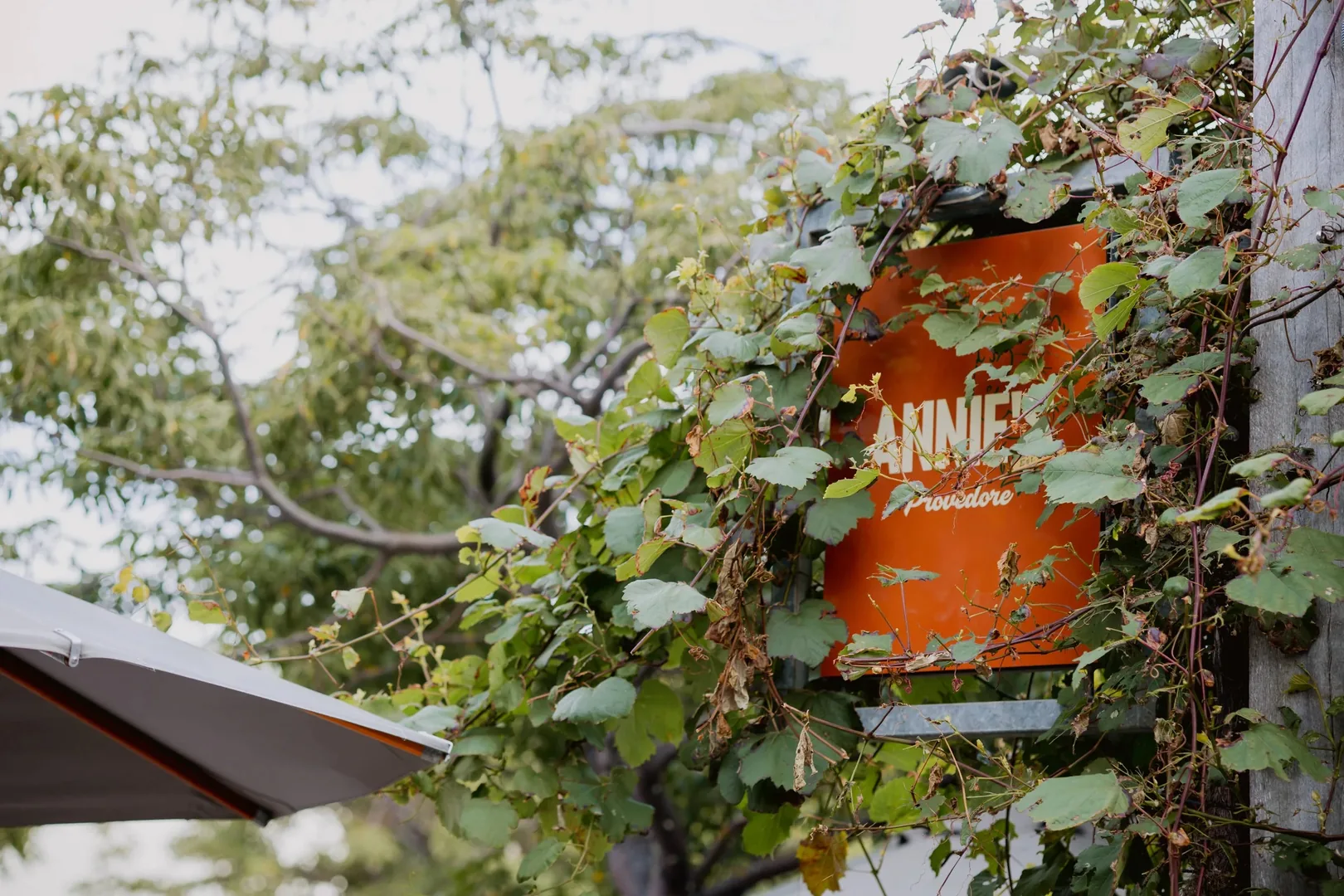 Annie's Provedore & Produce Store