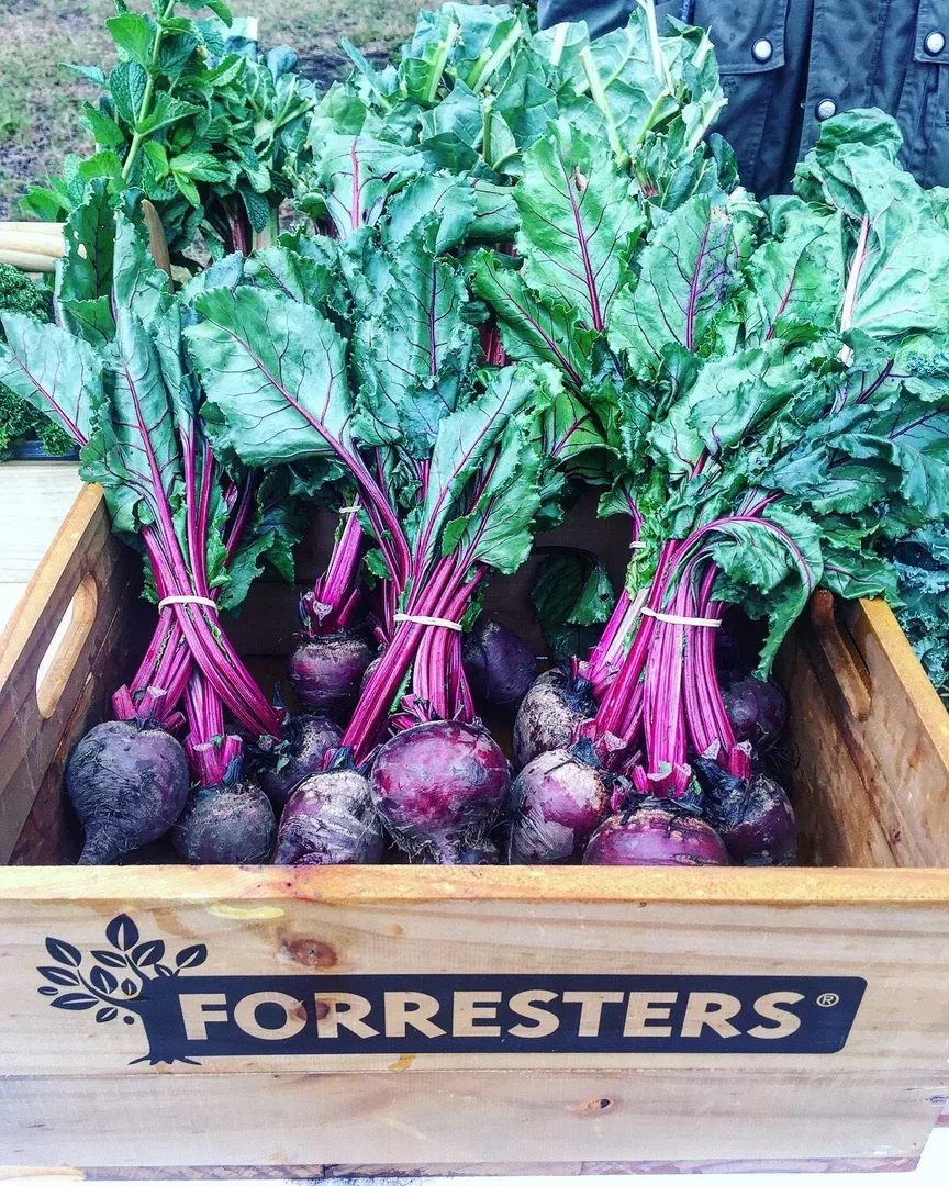 Bellarine Farmers' Market